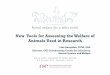 New Tools for Assessing the Welfare of Animals …...No Global Regulatory Standard-1 1876 Cruelty to Animals Act, UK o 2014 The UK Code of Practice for the Ho using and Care of Animals