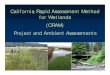 California Rapid Assessment Method for Wetlands (CRAM ......A structured assessment of wetland condition used to support an application for an approval or permit, an environmental