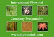 International Plywood | International Plywood - 1084821057. ... 2012 Presentation International Plywood
