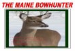 THE OFFICIAL MAGAZINE OF THE MAINE BOWHUNTERS … · Let’s review the current situation with deer in Maine based on the facts and then you decide if it is worth the risk of losing