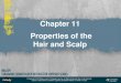 Chapter 11 Properties of the Hair and Scalp · • Describe the hair growth process. • Discuss the types of hair loss and their causes. • Describe the options for hair loss treatment
