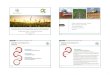 WVG AgriCamp Zonder TBA 2016-2017 2016-12-6 broch [Read-Only] · 2016. 12. 21. · 3 Page 9 Tijdslijn terbuthylazine… Historiek: veelgestelde vragen Historiek Zonder TBA Oplossingen