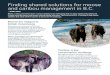 Finding shared solutions for moose and caribou management ... · Caribou: a key conservation challenge Woodland caribou are also an iconic ... Finding shared solutions for moose and