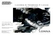 Lumière & Ténèbres X Lonna€¦ · Lumière & Ténèbres X Lonna 25.6. – 9.8. 2020 Waterbus timetables .ﬁ YELLOW HOUSE mon-sat 11am-7pm sun 11am-5pm (opening hours may vary)