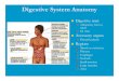 Digestive System Anatomylibvolume7.xyz/physiotherapy/bsc/1styear/humanphysiology/... · Small intestine Large intestine Anus. Digestive Tract Histology. Digestive System Regulation