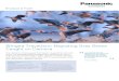 Winged Travellers—Migrating Grey Geese Caught on Camera · Camera. It offers the right ergonomics for the difficult conditions of wildlife film-making, and high frame rates, incredible