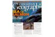 · PDF file 26 CANADIAN GEOGRAPHIC SEPTEMBER 250 seaweeds found between Sooke and Port Renfrew. Of the several tonnes they collect. each , about two-thirds are used year in spa treatments,