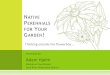 NATIVE PERENNIALS FOR YOUR GARDEN - Extension · colorful show in the spring! ... SEDGES, AND FERNS. SWITHGRASS PANICUM VIRGATUM Height: 4-5 Moisture: Dry Sun: Full-Partial Switch