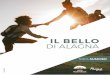IL BELLO DI ALAGNA...learn the peaks around you and the main places of the Valley, search the rivers and the pasturing animals of Alagna! A slide into the green of the flowering 