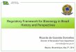 Regulatory Framework for Bioenergy in Brazil History and ...€¦ · Ministério de Minas e Energia Bioenergy – Biofuels History in Brazil 4 • National mandate for ethanol (E20-25)