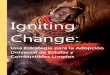 Igniting Change · Cuando Igniting Change: Una Estrategia para la Adopción Universal de Estufas y Combustibles Limpios fue publicado por primera vez en noviembre de 2011, la Organización