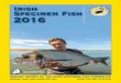 Irish Specimen Fish 2016irish-trophy-fish.com/.../01/...Annual-Report-2016.pdf · Report of the Irish Specimen Fish Committee 2016 In 2016 the ISFC processed 518 claims; 485 were