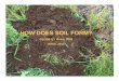 HOW DOES SOIL FORM? · Parent material: Chemical changes during soil formation depend on what minerals and rocks are present. Example: Calcium-rich soils generally form from calcium-rich