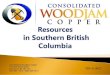 Consolidated Woodjam Copper Corp. has taken all reasonable · PDF file 2020. 7. 22. · Consolidated Woodjam Copper Corp. has taken all reasonable care in producing and publishing
