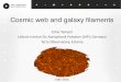 Cosmic web and galaxy filaments - KIAShome.kias.re.kr/MKG/upload/cosmology2016/talk file... · Cosmic web and galaxy filaments Elmo Tempel Leibniz-Institut für Astrophysik Potsdam