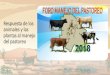Respuesta de los animales y las plantas al manejo del pastoreofz.uach.mx/util/2018/03/06/C. Respuesta animales y... · Respuesta de los animales y las plantas al manejo del pastoreo