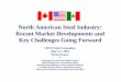 North American Steel Industry: Recent Market …/media/Files/AISI...North American Steel Industry: Recent Market Developments and Key Challenges Going Forward OECD Steel Committee