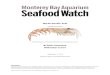 British Columbia Midwater trawl - Ocean Wise · Pacific krill are fished whole for food used in aquaculture and aquariums, and in reduction fisheries for meal and oil in Japan and