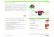 F ACTS TRÉ - Amazon S3s3.amazonaws.com/static.gnld.com/us/product/3010/fastfacts.pdf · Proveniente de una gama amplia de Super Frutas poderosas, Tré le asegura la diversidad nutritiva