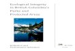 Ecological Integrity - BC Parksbcparks.ca/conserve/ecological-integrity-def-and-perf-indicators.pdf · 3 Ecological Integrity in ritish olumbia’s Parks and Protected Areas Introduction