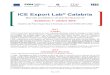 ICE Export Lab Calabria · il potenziale in termini di internazionalizzazione) e, successivamente, di elaborare un piano strategico di penetrazione in un mercato prescelto (export