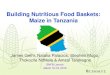 Building Nutritious Food Baskets · Maize CRP- Overall project that encompasses the maize research at CIMMYT. It is designed to ensure that maize research helps most effectively to