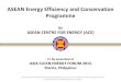 ASEAN Energy Efficiency and Conservation Programmed335hnnegk3szv.cloudfront.net/wp-content/uploads... · The ACE and Energy Efficiency and Conservation Sub-Sector Network (EE&C-SSN)