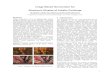 Image-Based Illumination for Electronic Display of ...Abstract Visual impressions from two-dimensional artistic paintings greatly vary under different illumination conditions, but