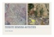 REMOTE SENSING ACTIVITIES - The Jornada · REMOTE SENSING FOR MAPPING ECOLOGICAL STATES Creating a spatial representation of generalized ecological state classes for public lands