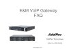 E&M VoIP Gateway FAQ Billing Server Analog Phone AP-VPMS Server WAN Router AP2620 E&M VoIP Gateway 10/100Mbps PBX E&M Interface FXS Analog Voice Interface Leased Line/ATM/Frame-Relay/IP