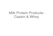 Milk Protein Products - Soegijapranata Catholic Universitysintak.unika.ac.id/.../milk_protein_products.pdf · Protein-rich whey products can (partially) replace skim milk in ices,