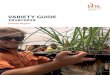 VARIETY GUIDE - Sugar Research Australia · Variety: Q252 A AQA00-3093 Parentage: Q208 x Q96 / Summary: Equal tonnes cane; equal CCS. TRIAL HARVEST YEAR CROP CLASS YIELD (TCH) CCS