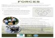 Who benefits from a FORCES partnership? · What is a FORCES partnership? Who benefits from a FORCES partnership? FORCES Partnership Demonstration Projects Forest Opportunities for