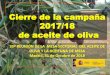 Cierre de la campaña 2017/18 de aceite de olivacentroliva.com/.../2018/11/35-Reunion-de...de-oliva-y-aceituna-de-me… · OLIVA Y LA ACEITUNA DE MESA Madrid, 31 de Octubre de 2018