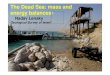 The Dead Sea: mass and energy balances Lensky (Yechieli) 05.pdf · Mass and Energy Balances Salt precipitation Evaporation Total mass balance Water inflows Measured data: (T, P &