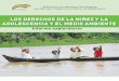 LOS DERECHOS DE LA NIÑEZ Y LA ADOLESCENCIA Y EL MEDIO AMBIENTEtdh-latinoamerica.de/wp-content/uploads/2017/08/CODENI-Los-derec… · / y el medio ambiente : informe exploratorio