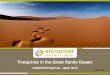 Footprints in the Great Sandy Desert - Bewick.pdf · Footprints in the Great Sandy Desert ... Deposit style produces giant orebodies Is Nifty the giant of the Paterson? *includes