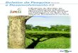 ISSN 0101-5516 Novembro, 2012 e Desenvolvimento · 2017. 8. 16. · buscam reverter as principais causas de degradação de pastagens cultivadas na Amazônia, representadas pela má