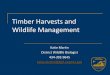 Timber Harvests and Wildlife Management · 2015. 11. 18. · Timber Harvests and Wildlife Management . Things to Consider ... STAND AGE Y Relationship of Biodiversity to Forest Age