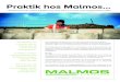 Praktik hos Malmos · 2020. 2. 19. · Praktik hos Malmos... Som praktikant i Malmos får du en unik chance for at forme og skabe Danmarks byer og landskaber. Du bliver tilknyttet