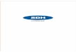 Company Profile · 2012. 6. 25. · Company Profile Shanghai Dazhong Hydraulic Technology Co., Ltd(SDH) founded in 1999 is a leading manufacture of gear pump in China. SDH covers