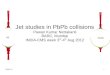 Jet studies in PbPb collisions · Pawan Kumar Netrakanti BARC, Mumbai INDIA-CMS week 3rd-4th Aug 2012 pp PbPb. 08/03/12 2 Outline: