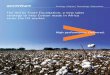 The Aid by Trade Foundation: a new sales strategy to help ...€¦ · 5/23/2015  · organization of Cotton made in Africa and realizes its goals through this initiative. Cotton made