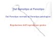 Dal Fenotipo normale al Fenotipo patologico€¦ · DNA PACKAGING Chromatin structure is hyerarchic NUCLEOSOME Heterochromatin (more compact organization) Euchromatin (less compact