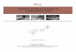 DESARROLLO DE SENSORES OPTOQUÍMICOS MINIATURIZADOS … · Comportamiento ácido-base en etanol y en membranas de PVC plastificado..... 146 4.3.2.3. Fotodescomposición y exudación