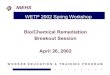 WETP 2002 Spring Workshop - Bio/Chemical Remediation · NIEHS WETP 2002 Spring Workshop Bio/Chemical Remediation Breakout Session April 26, 2002 1