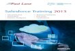 Salesforce Training 2013 - flane.co.uk · Salesforce Training Expertise: the fastest path to success raining T is your quickest route to success with Salesforce. Customers who were