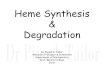 Heme Synthesis Degradation...REGULATION OF HEME AND GLOBIN SYNTHESIS Represses of Gene for ALA synthase. Free Heme = Stimulation of Globinsynthesis Excess Heme = Fe+2 is oxidisedto