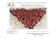 Holy Rosary School · PDF file Holy Rosary School 1043 Lake Avenue Detroit Lakes, MN 56501 218-847-5306 Fax: 218-847-6367 Holy Rosary School The Catholic School of Holy Rosary Church