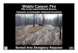 Waldo Canyon Fire - WordPress.com · 7/17/2012  · Waldo Canyon Fire Burned Area Emergency Response Pike & San Isabel National Forests, Cimarron & Comanche National Grasslands INSERT